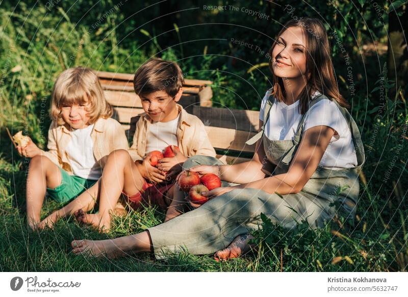 Woman gardener with kids children picked red apples in home countryside orchard adult agriculture autumn beautiful branch caucasian choosing customer diet