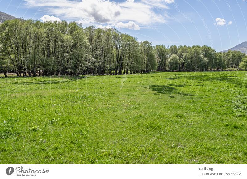 Green field in spring Extremadura Jerte Valley Spain background country countryside forest grass green landscape lawn meadow natural nature outdoor outside