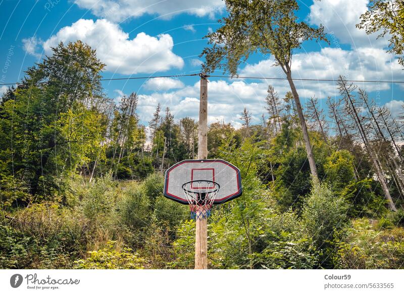 Basketball  surround forest outdoor basketball sport green grass park hoop net old recreation tree playground board nature court field trees background