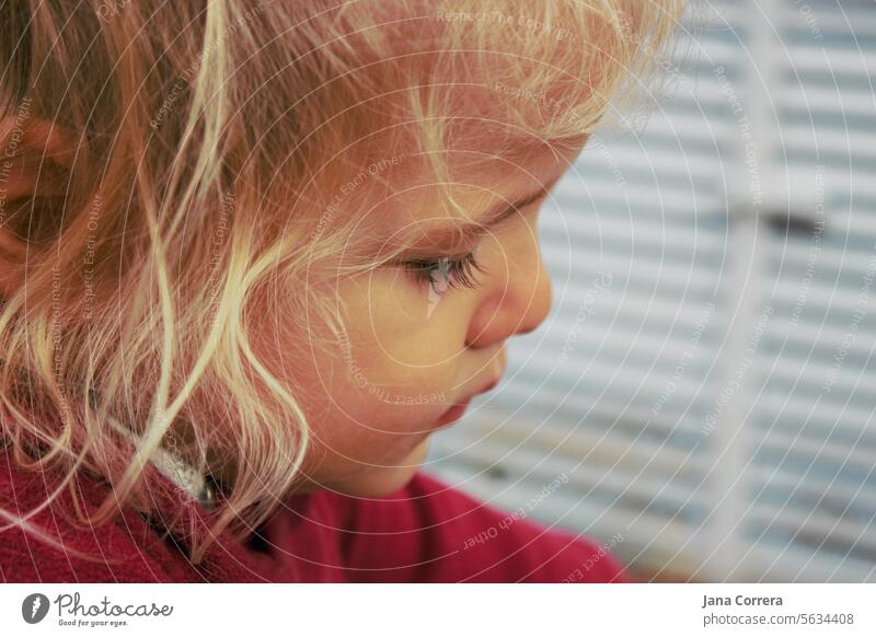 Close-up of the face of a boy with blond hair looking down Child Boy (child) Infancy Playing Toddler Cute Human being person blonde hair Face Red Eyelash Small