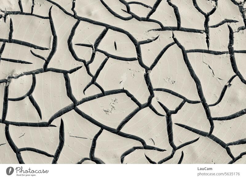 Cracks in the mud slush cracks parched Pattern lines Lifelines Abstract Surface Dry Crack & Rip & Tear Structures and shapes Transience Branched change