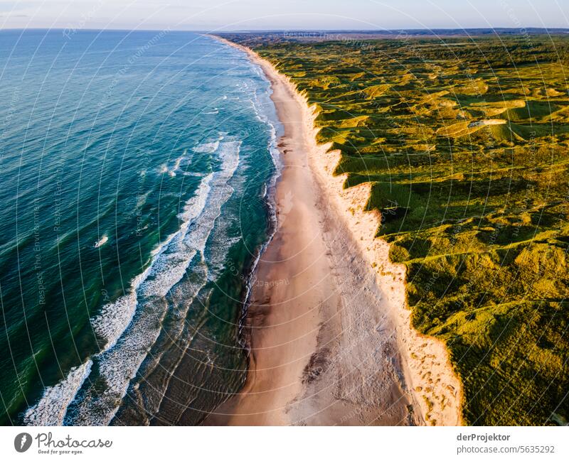 Dunes in the sunlight in Denmark IV relaxation relax & recuperate" Recreation area bathe Freedom vacation Vacation mood Exterior shot Ocean Colour photo