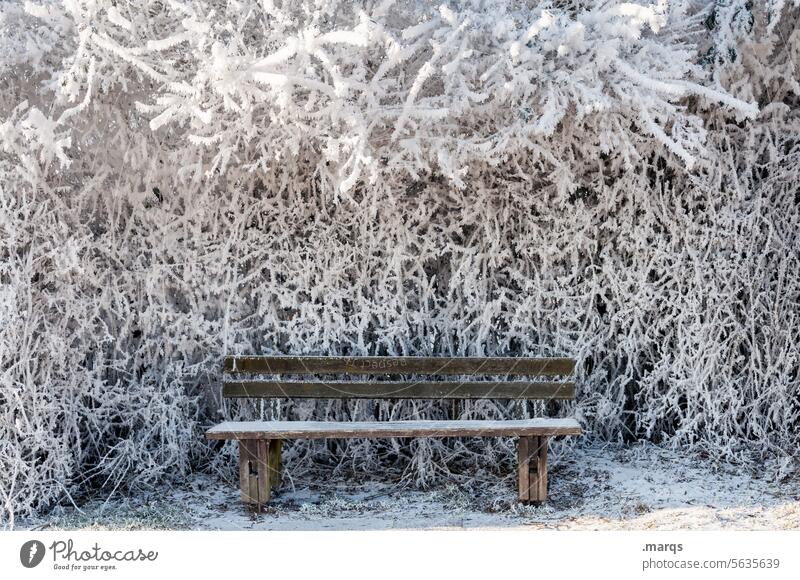 ice bank Snow Nature Cold Environment bench Bench Tree Winter Calm Frozen Ice Moody Seating snow-covered Fabulous silent idyllically Weather Freeze Idyll snowy