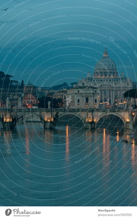 Blue hour at the Tiber River bank Rome Vatican Italy Town Capital city Downtown Old town Church Dome Bridge Building Tourist Attraction Landmark Monument
