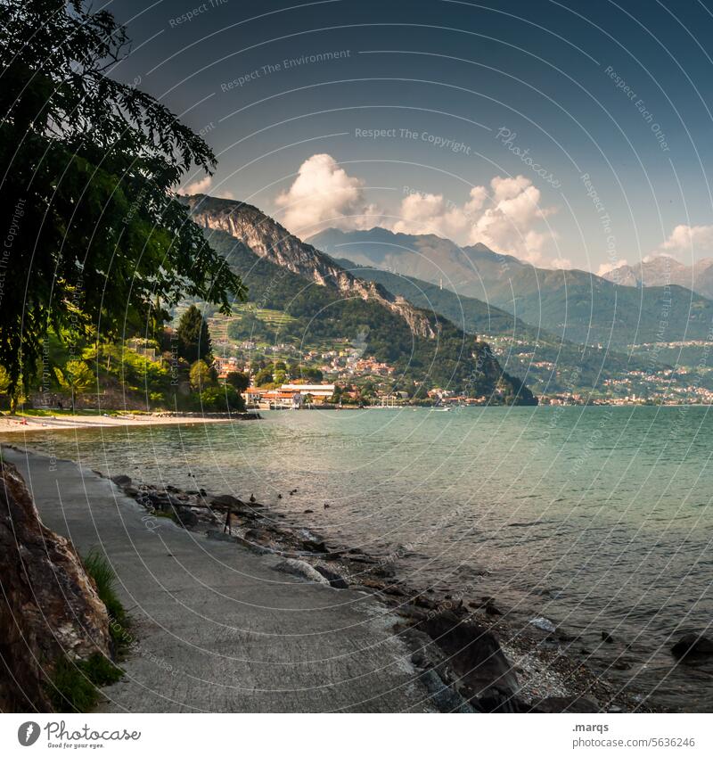Lake Como Sea promenade Body of water Water Mountain Idyll bank Nature Summer Vacation & Travel Sky Beautiful weather Tree Landscape Lanes & trails