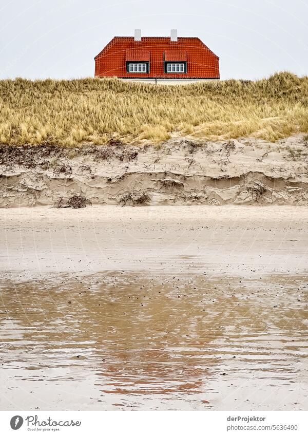 A house looks over a dune in Denmark relaxation relax & recuperate" Recreation area bathe Freedom vacation Vacation mood Exterior shot Ocean Colour photo