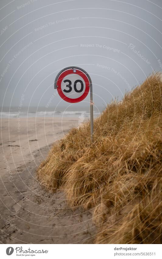 Dune with road sign in Denmark II relaxation relax & recuperate" Recreation area bathe Freedom vacation Vacation mood Exterior shot Ocean Colour photo