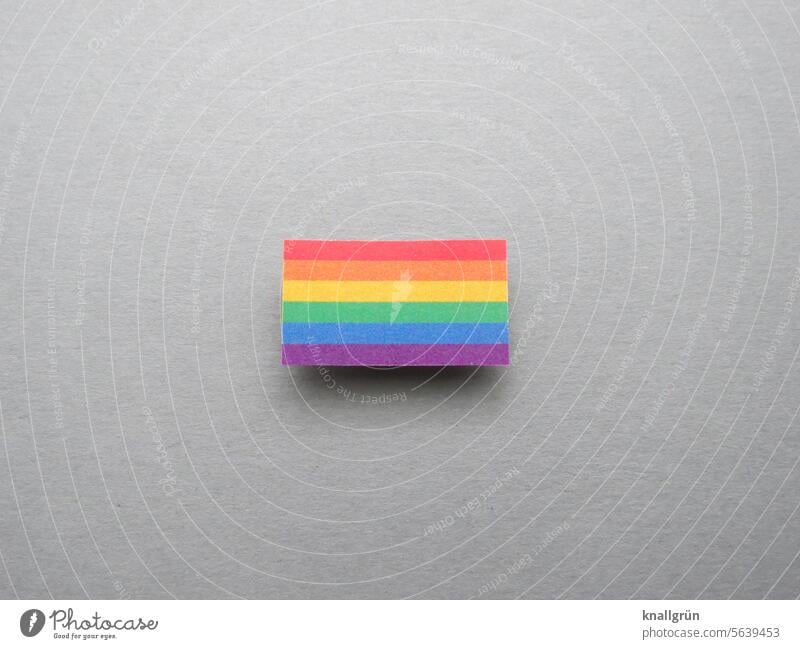 rainbow flag Rainbow variegated variety Tolerant Equality Freedom Homosexual Love Symbols and metaphors Prismatic colors LGBTQ symbol Rainbow flag colourful