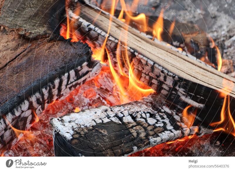 warm up for a moment ... Fire Fireplace Embers Wood Firewood Burn Glow Warmth Warm up Flame blaze Hot Incandescent Exterior shot Colour photo Deserted Dangerous