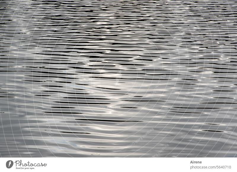 Water - barcode Waves shaded Wavy line graphically background Stripe moved Lake White Silver Calm Elements Surface of water Nature Pond Smooth