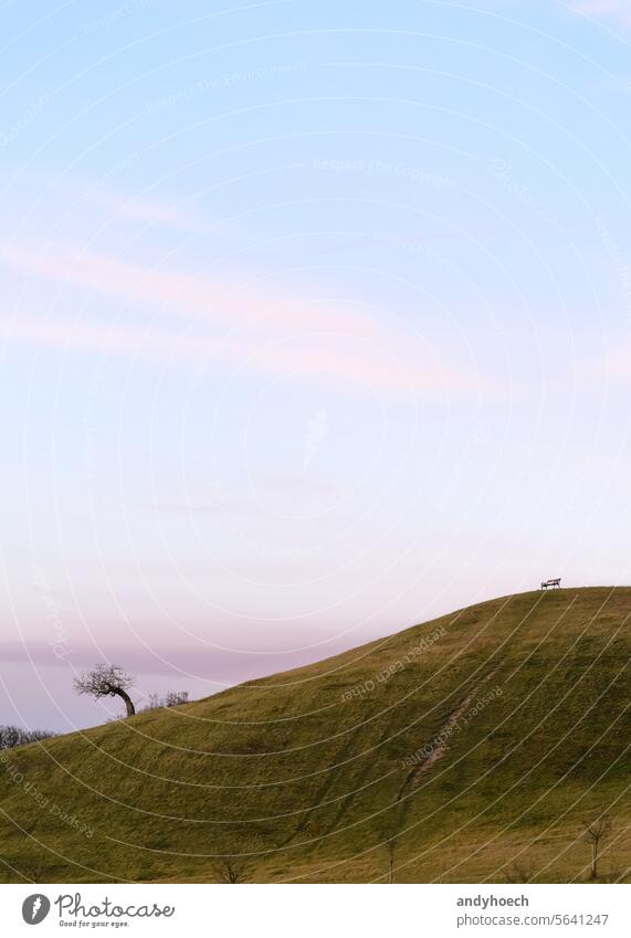 A bench on a hill at sunset near the Kunitz castle ruins near Jena beautiful copy space countryside environment europe field forest free freedom grass green