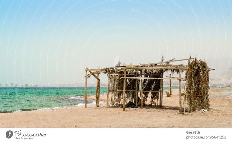 palm tree hut with garbage on the shores of the Red Sea in Egypt Dahab background beach beggar blue branches building clean climate coast colored crisis day dry
