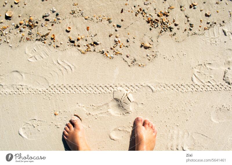 Marks in the sand #Sand #Marks Tracks Skid marks Imprint Beach Footprint #Feet