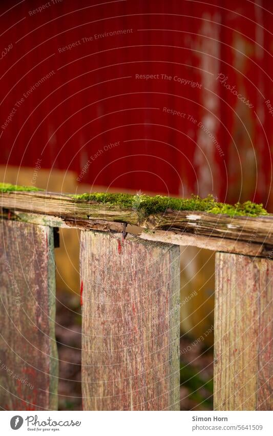 Patina of an old wooden fence in front of a red wooden hut Moss Fence Wooden fence Garden Wooden hut Garden fence retreat Idyll Brittle mossy Nature naturally