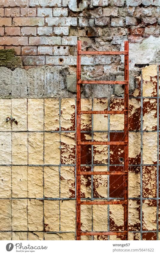 Cabinet supports, chipped tiles and the ravages of time Past Decline Ladder Workshop cable tray dirt variegated Transience Building Old Close-up Deserted