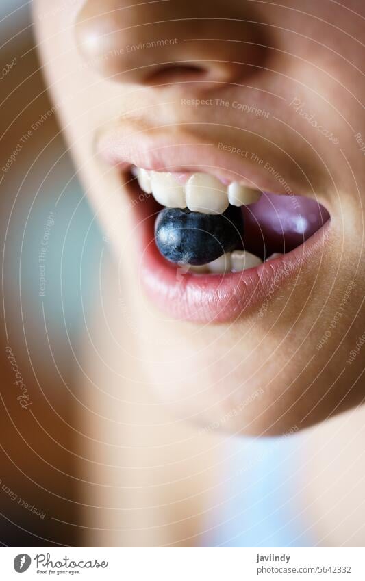 Unrecognizable crop girl holding fresh blueberry between teeth Girl Blueberry Teeth Bite Fresh Healthy Delicious Ripe Fruit Nutrition Food Sweet Teen Vitamin