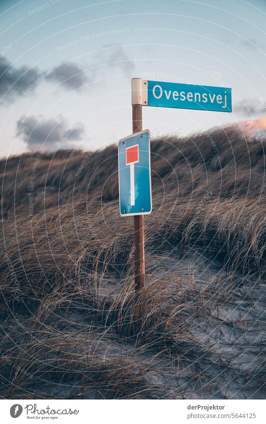 Dune with road sign in Denmark I relaxation relax & recuperate" Recreation area bathe Freedom vacation Vacation mood Exterior shot Ocean Colour photo Relaxation
