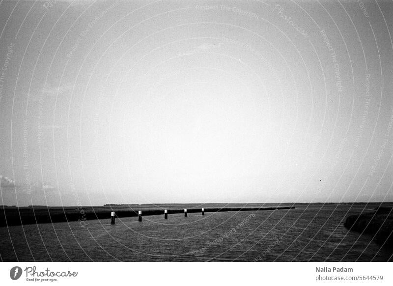 Bodstedt Bodden Analog Analogue photo B/W black-and-white Black & white photo Water Baltic Sea country piers Darss Zingst Meiningen bridge Surface of water