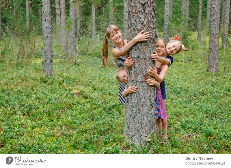 Children hug pine tree in a forest camping candid care cheerful child childhood children enjoy enjoyment forestation fresh air friends friendship fun girlhood