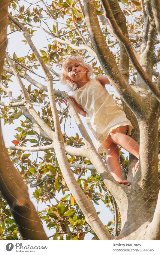 Little girl climbing tree playing in a summer garden - child risky play concept activity behavior branch carefree challenge childhood childish clambering danger