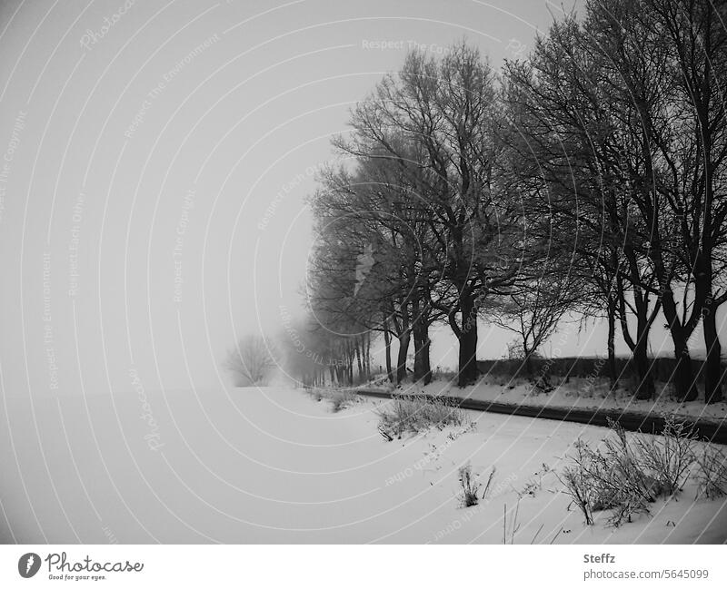 a gray winter day with fog grey winter day Fog dark winter day somber Gray foggy morning Winter's day Asphalt road Winter mood chill Cold Rural Snowscape