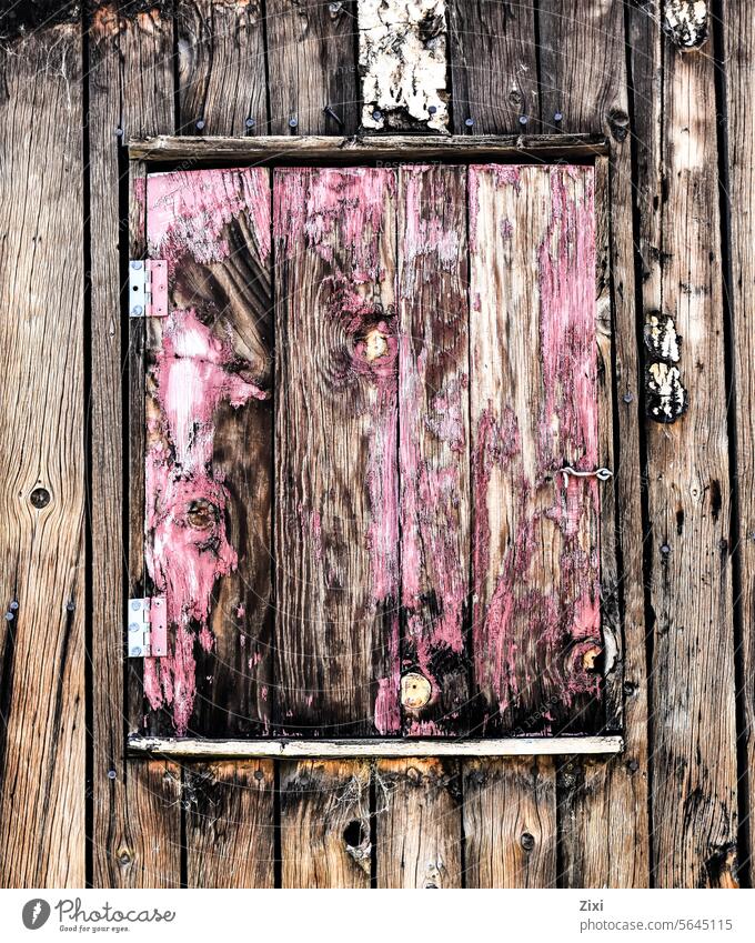 Cabin window shutter Window Closed Shutter Pink #Old #Log cabin Exterior shot