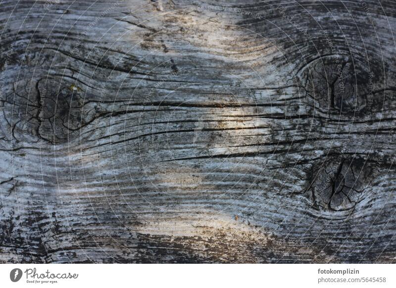 Weathered wood structure Wood wooden Surface Old Gray silver Texture of wood Wood grain wood surface Structures and shapes detail Close-up rutted