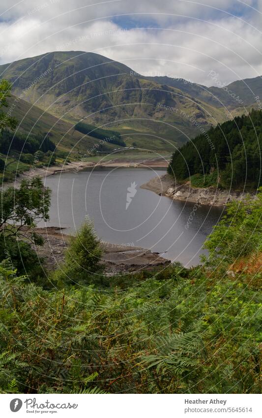low water levels at Haweswater, Cumbria, UK haweswater Lake District National Park Summer Drought Water mountains Mountain travel landscape Exterior shot Nature