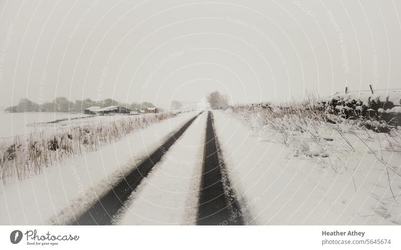 A snow covered rural road in Northumberland, UK Snow Winter Track Rural northumberland united kingdom Farm countryside landscape nature scenic scenery outdoor