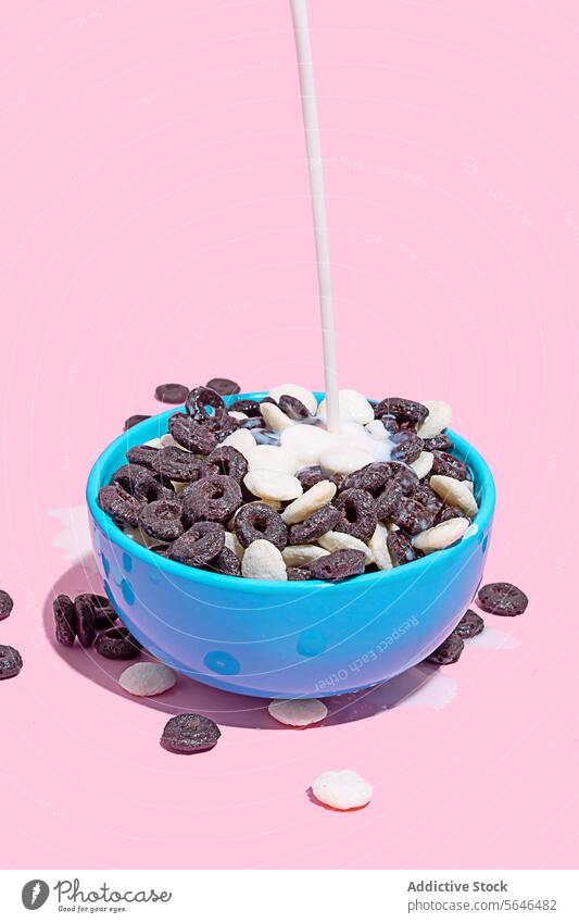 Pouring milk into a bowl of chocolate cereal pouring blue pink background breakfast food snack dairy stream sweet flavored colorful meal morning treat nutrition