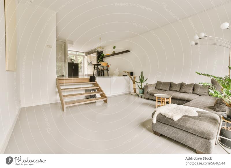 Modern living room with elegant minimalist decor interior modern sofa sectional grey bright furniture wooden floor plant natural light contemporary stylish