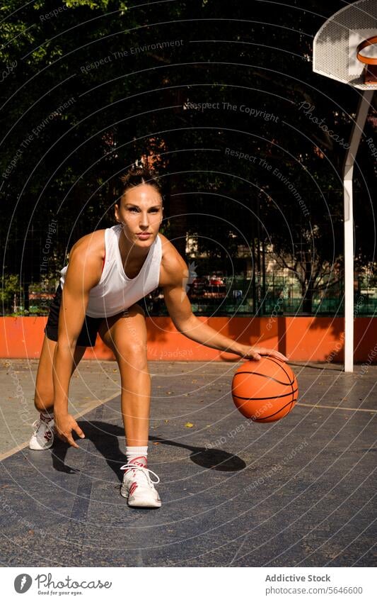 Full body of sporty young female in activewear looking away while playing basketball on court during sunny summer day Sportswoman Basketball Play Court Dribble