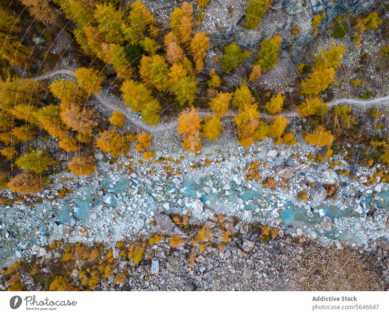 Aerial view of a river flowing through autumn forest aerial nature landscape tree foliage season water natural outdoor color aerial photography riverbank scenic