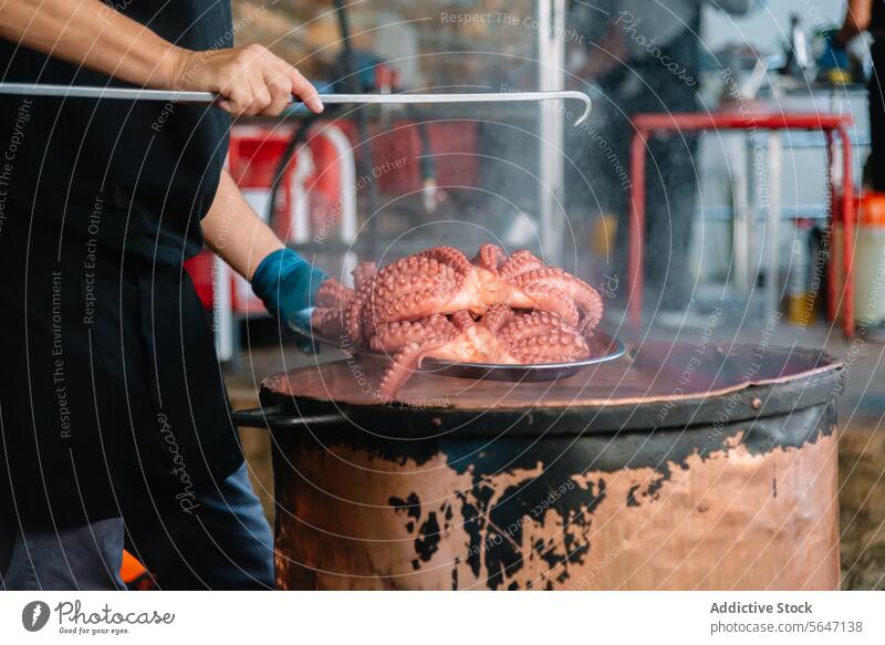 Unrecognizable cook lifts a fully cooked octopus from a boiling pot Galician cooking technique hook serving steam rustic traditional regional delicacy