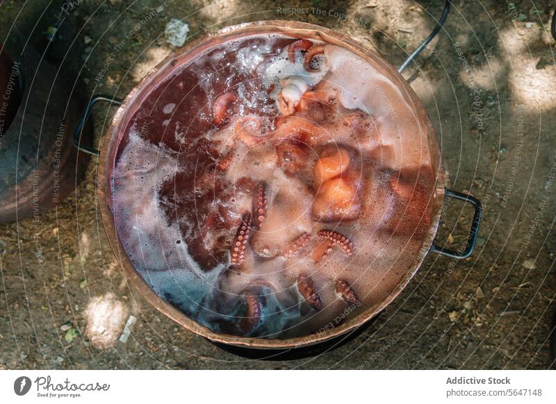 Boiling Octopus in Galicia boiling octopus pot tentacles simmering water culinary scene festivals cooking process spectacle traditional regional cuisine