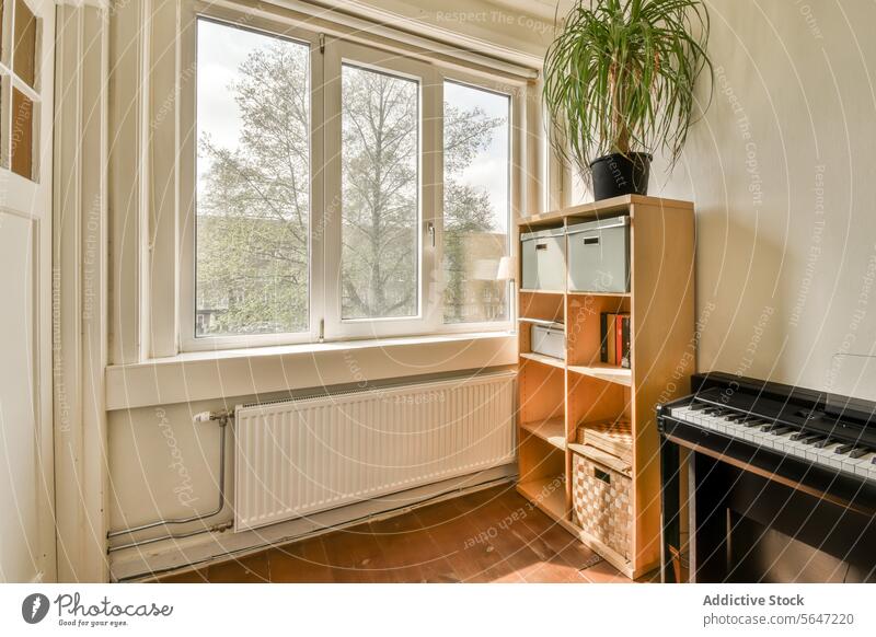 Piano and cabinet by window at home living room piano wooden rack plant radiator music instrument book carton container domestic house modern design apartment