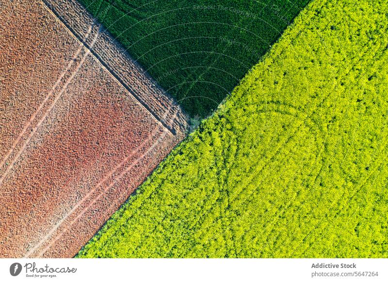 Textured aerial view of farmland showing geometric patterns of plowed fields in green, yellow, and brown tones Aerial texture rural agriculture crop earth