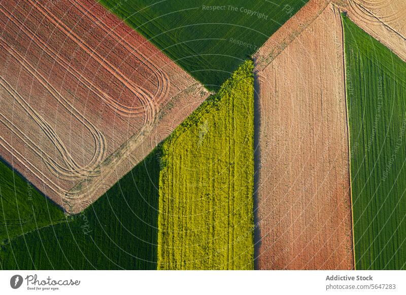 Textured aerial view of farmland showing geometric patterns of plowed fields in green, yellow, and brown tones Aerial texture rural agriculture crop earth
