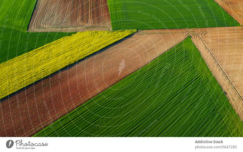 Aerial view of agricultural fields with geometric patterns in shades of green, brown, and yellow, symbolizing nature's patchwork agriculture artistic landscape