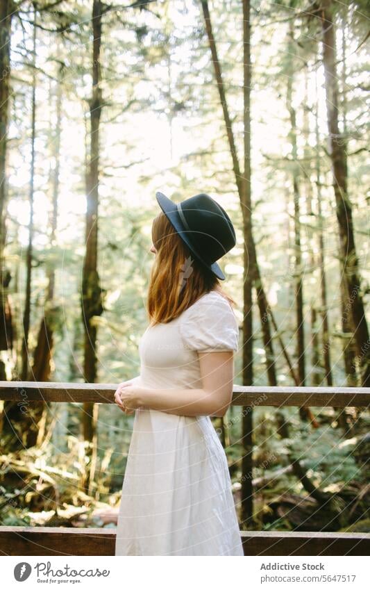 Woman in white dress enjoying forest serenity on Avatar Grove, Vancouver Island woman hat sunlight serene nature contemplative vancouver island british columbia