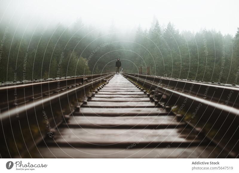 Man in misty railroad journey on Vancouver Island solitude forest adventure vancouver island british columbia canada track figure walk shroud dense nature