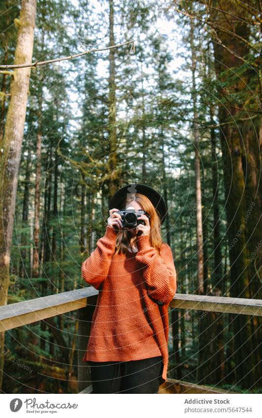 Photographer Capturing the Beauty of Vancouver Island Forest woman camera Avatar Grove photography forest vancouver island british columbia canada bridge trees