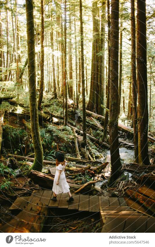 Serene walk through a forest on Avatar Grove, Vancouver Island dress wooden pathway woman peaceful sun-dappled vancouver island british columbia canada nature