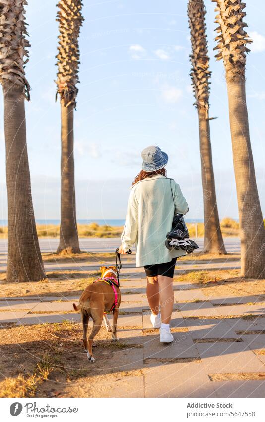 Female with pet walking in park woman dog skate footpath full length rear view anonymous inline leash together lifestyle hat tree sunlight leisure full body