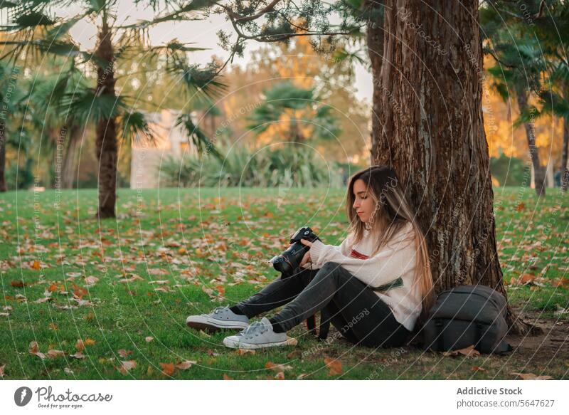 Young woman relaxing with photo camera in a park at sunset autumn photographer tree sitting nature leisure outdoor fall young female examining foliage solitude