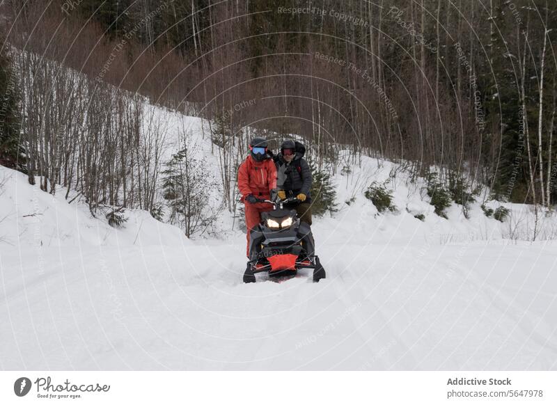 Friends riding snowmobile on snowy in forest friends active landscape covering bare tree vacation winter together full body anonymous adventure ride travel