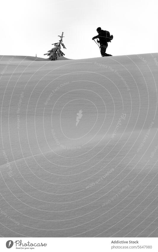Person walk on snowcapped mountain skier anonymous active pole backpack slope canada black and white nature majestic beauty person unrecognizable landscape