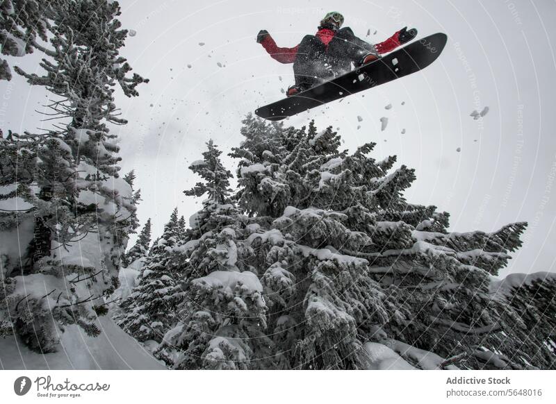 Active snowboarder jumping from snowcapped slope person mountain clear sky canada vacation winter from below adventure carefree snowboarding motion nature tree