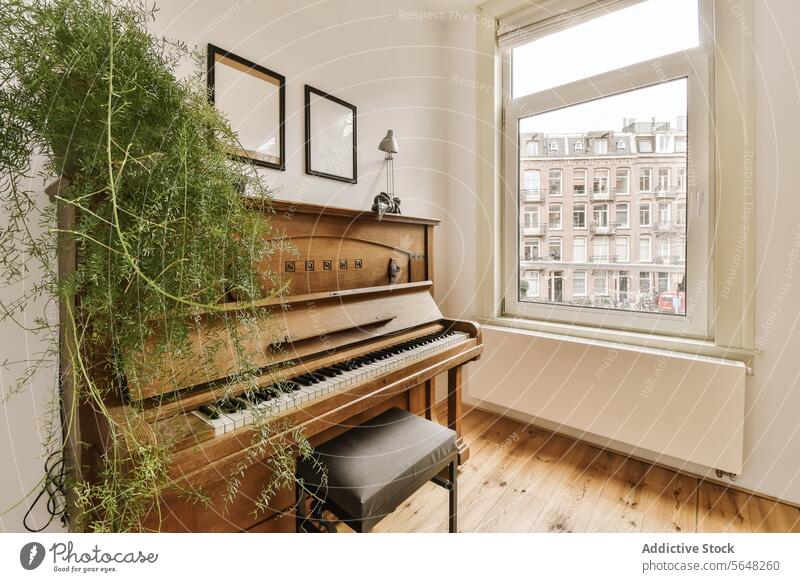 Living room with piano and window living room plant apartment modern frame growth blank copy space seat house music instrument wooden radiator furniture design