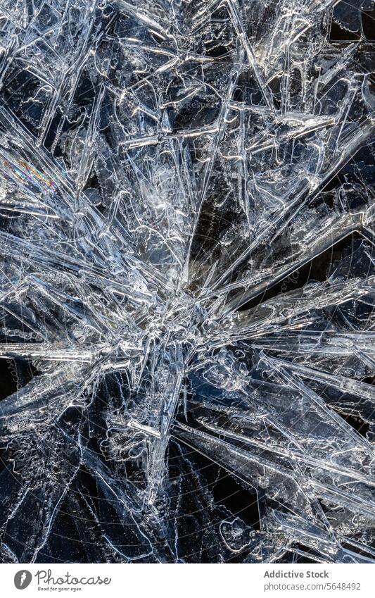Intricate Ice Patterns on a Dark Winter Day ice pattern winter abstract crystal nature cold texture design close-up intricate dark background macro frozen